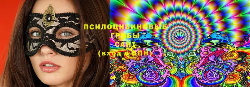 Галлюциногенные грибы Cubensis  закладки  Феодосия 